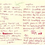 M_Diger_den_NH_e_P_aile_den_01_02.jpg