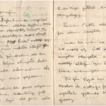 M_P_den_NH_e_05_01.jpg